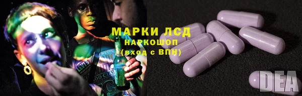 МДПВ Бородино
