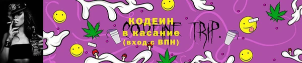 МДПВ Бородино