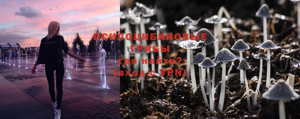 МДПВ Бородино
