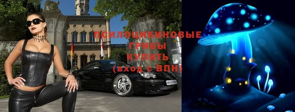 МДПВ Бородино