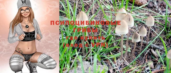 МДПВ Бородино