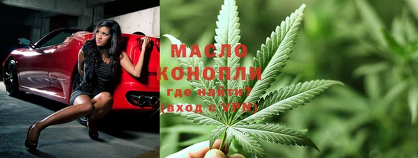 МДПВ Бородино