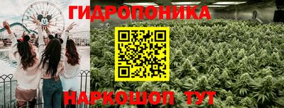 apvp Лесосибирск