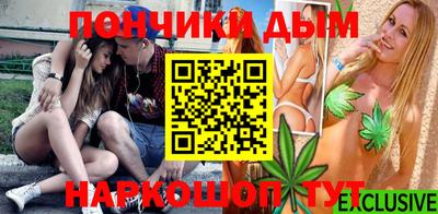 apvp Лесосибирск