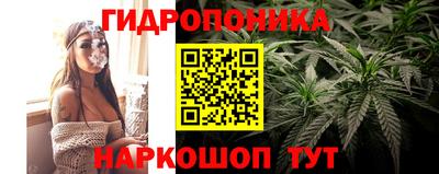 apvp Лесосибирск