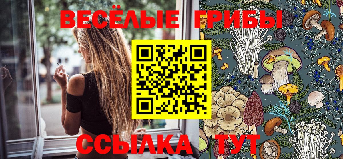 наркотики  Вход с VPN  Псилоцибиновые грибы Psilocybine cubensis  Дальнегорск  Галлюциногенные грибы Magic Shrooms 