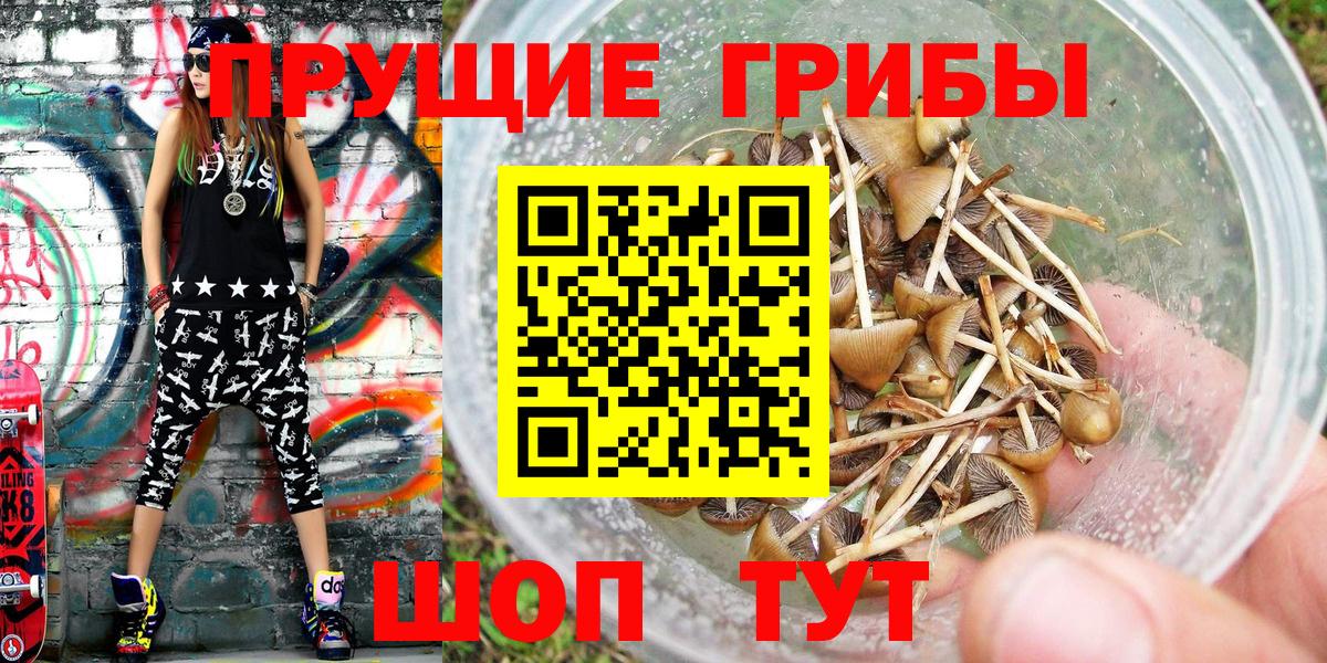 MDMA Дальнегорск