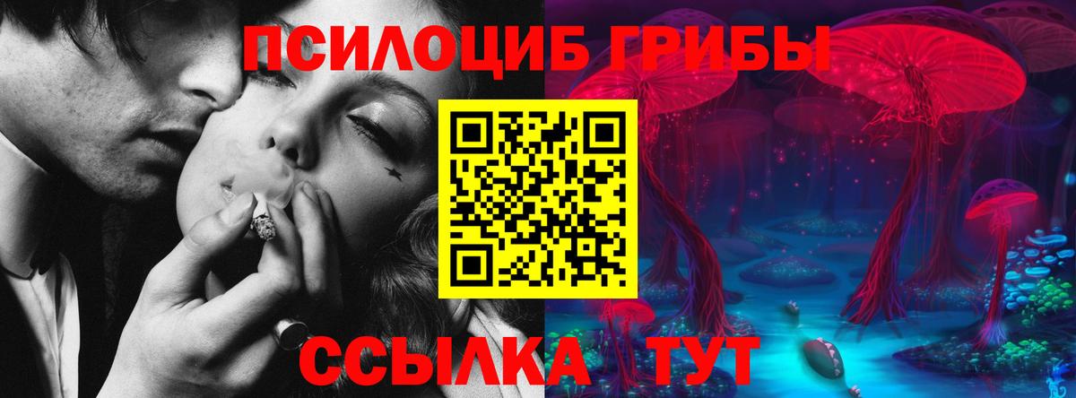 Псилоцибиновые грибы мицелий Дальнегорск