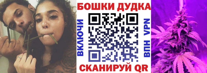 Канабис планчик Дальнегорск